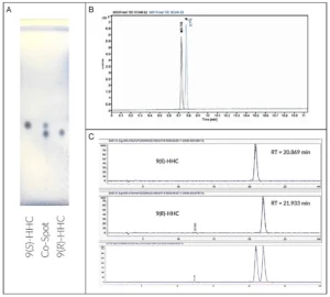 Εξαϋδροκανναβινόλη (HHC) και σχετικές ουσίες, ΤΕΧΝΙΚΗ ΑΝΑΦΟΡΑ, από το EMCDDA, 2023 Εξαϋδροκανναβινόλη (HHC) και σχετικές ουσίες, ΤΕΧΝΙΚΗ ΑΝΑΦΟΡΑ, από το EMCDDA, 2023