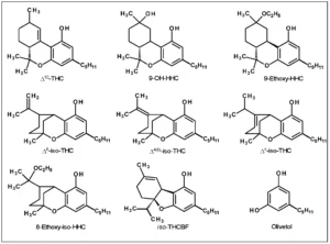 Εξαϋδροκανναβινόλη (HHC) και σχετικές ουσίες, ΤΕΧΝΙΚΗ ΑΝΑΦΟΡΑ, από το EMCDDA, 2023 Εξαϋδροκανναβινόλη (HHC) και σχετικές ουσίες, ΤΕΧΝΙΚΗ ΑΝΑΦΟΡΑ, από το EMCDDA, 2023