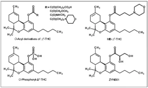 Εξαϋδροκανναβινόλη (HHC) και σχετικές ουσίες, ΤΕΧΝΙΚΗ ΑΝΑΦΟΡΑ, από το EMCDDA, 2023 Εξαϋδροκανναβινόλη (HHC) και σχετικές ουσίες, ΤΕΧΝΙΚΗ ΑΝΑΦΟΡΑ, από το EMCDDA, 2023