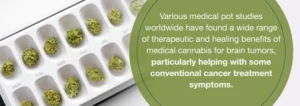 Η ιατρική χρήση της Κάνναβης και οι Όγκοι στον Εγκέφαλο Η ιατρική χρήση της Κάνναβης και οι Όγκοι στον Εγκέφαλο