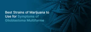 Η ιατρική χρήση της Κάνναβης και το Πολύμορφο Γλοιοβλάστωμα Η ιατρική χρήση της Κάνναβης και το Πολύμορφο Γλοιοβλάστωμα