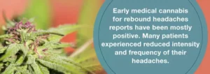 Η ιατρική χρήση της Κάνναβης και οι Κεφαλαλγίες Ανάκαμψης Η ιατρική χρήση της Κάνναβης και οι Κεφαλαλγίες Ανάκαμψης