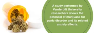 Η ιατρική χρήση της Κάνναβης και η Διαταραχή Πανικού Η ιατρική χρήση της Κάνναβης και η Διαταραχή Πανικού