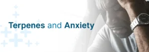 Η ιατρική χρήση της Κάνναβης για την αντιμετώπιση του Άγχους Η ιατρική χρήση της Κάνναβης για την αντιμετώπιση του Άγχους