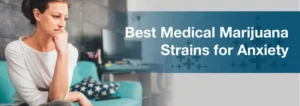 Η ιατρική χρήση της Κάνναβης για την αντιμετώπιση του Άγχους Η ιατρική χρήση της Κάνναβης για την αντιμετώπιση του Άγχους