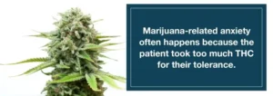 Η ιατρική χρήση της Κάνναβης για την αντιμετώπιση του Άγχους Η ιατρική χρήση της Κάνναβης για την αντιμετώπιση του Άγχους