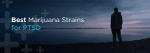 Η ιατρική χρήση της Κάνναβης και η Διαταραχή μετατραυματικού στρες