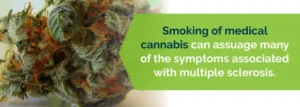 Η ιατρική χρήση της Κάνναβης για την Πολλαπλή Σκλήρυνση Η ιατρική χρήση της Κάνναβης για την Πολλαπλή Σκλήρυνση