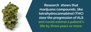 Η ιατρική χρήση της Κάνναβης για την Αμυοτροφική Πλευρική Σκλήρυνση (ALS) Η ιατρική χρήση της Κάνναβης για την Αμυοτροφική Πλευρική Σκλήρυνση (ALS)