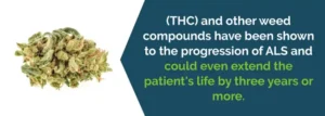 Η ιατρική χρήση της Κάνναβης για την Αμυοτροφική Πλευρική Σκλήρυνση (ALS) Η ιατρική χρήση της Κάνναβης για την Αμυοτροφική Πλευρική Σκλήρυνση (ALS)