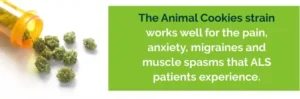 Η ιατρική χρήση της Κάνναβης για την Αμυοτροφική Πλευρική Σκλήρυνση (ALS) Η ιατρική χρήση της Κάνναβης για την Αμυοτροφική Πλευρική Σκλήρυνση (ALS)