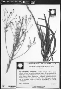 In the Herbarium (2023) [Μέσα στο βοτανολόγιο]