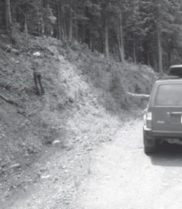 Mycophilia (2011) [Μυκητοφιλία]