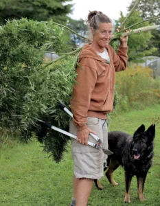 Beginner's Guide to Growing Cannabis and Making Your Own Healing Remedies (2023) [Οδηγός για αρχάριους για την καλλιέργεια κάνναβης και τη δημιουργία των δικών σου θεραπευτικών σκευασμάτων]