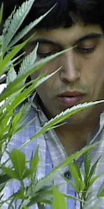 How to Grow Medical Marijuana (1999) [Πώς να καλλιεργήσεις κάνναβη για ιατρική χρήση]