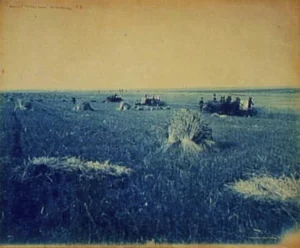 How to Grow Medical Marijuana (1999) [Πώς να καλλιεργήσεις κάνναβη για ιατρική χρήση]