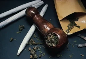 The Marijuana Grower's Handbook (2014) [Το εγχειρίδιο του καλλιεργητή κάνναβης]