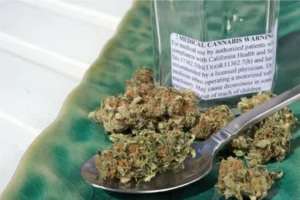 The Marijuana Grower's Handbook (2014) [Το εγχειρίδιο του καλλιεργητή κάνναβης]