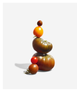 The Science of Nutrition (2022) [Η επιστήμη της διατροφής]