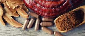 Fry, Thrive, or Die (2023) [Τηγάνισε, ευδοκίμησε ή πέθανε]