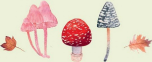 Mystical Mushrooms (2023) [Μυστικιστικά μανιτάρια]