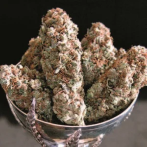 Cannabis Indica – The Essential Guide to the World’s Finest Marijuana Strains (2013) [Κάνναβη, υποείδος Indica – Ο βασικός οδηγός για τις καλύτερες ποικιλίες κάνναβης στον κόσμο]