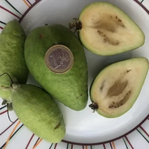 Ποια είναι τα οφέλη του φεϊζόα για την υγεία